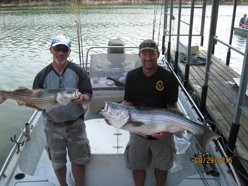 Nice Striped Bass